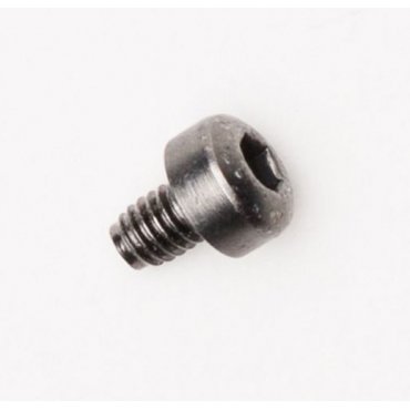 BUCKLE SCREWS [Silver]